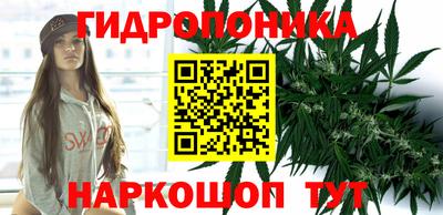 крисы Владимир