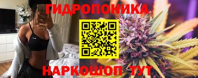 крисы Владимир